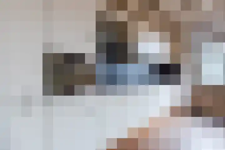 Berghemseweg 249 Oss thumbnail 8