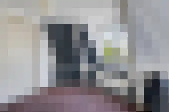 Berghemseweg 29 A Oss thumbnail 13