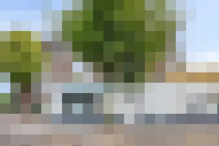 Berghemseweg 29 A Oss thumbnail 20