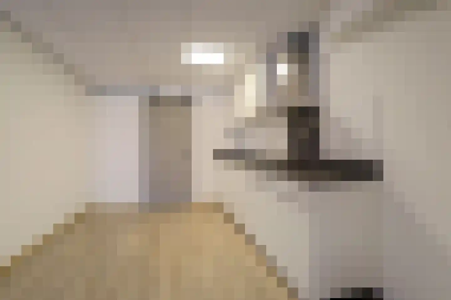 Berghemseweg 33 Oss thumbnail 8