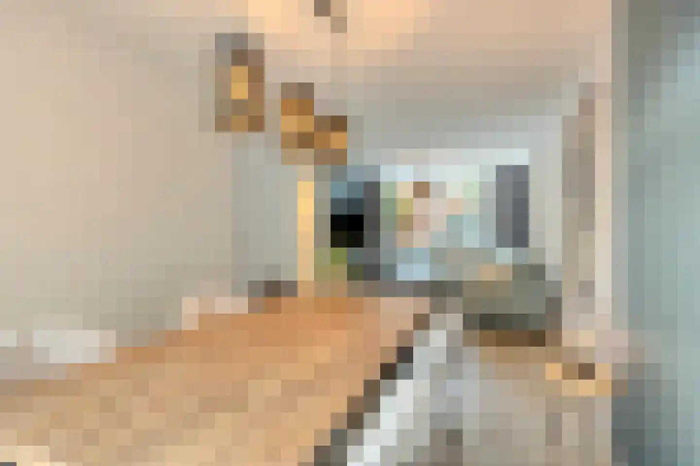 Berghemseweg 39 A Oss thumbnail 11