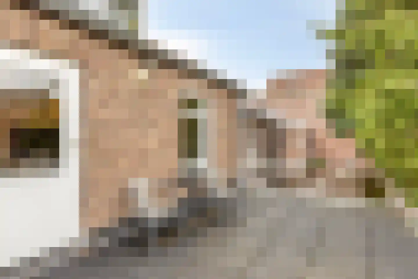 Berghemseweg 39 A Oss thumbnail 17