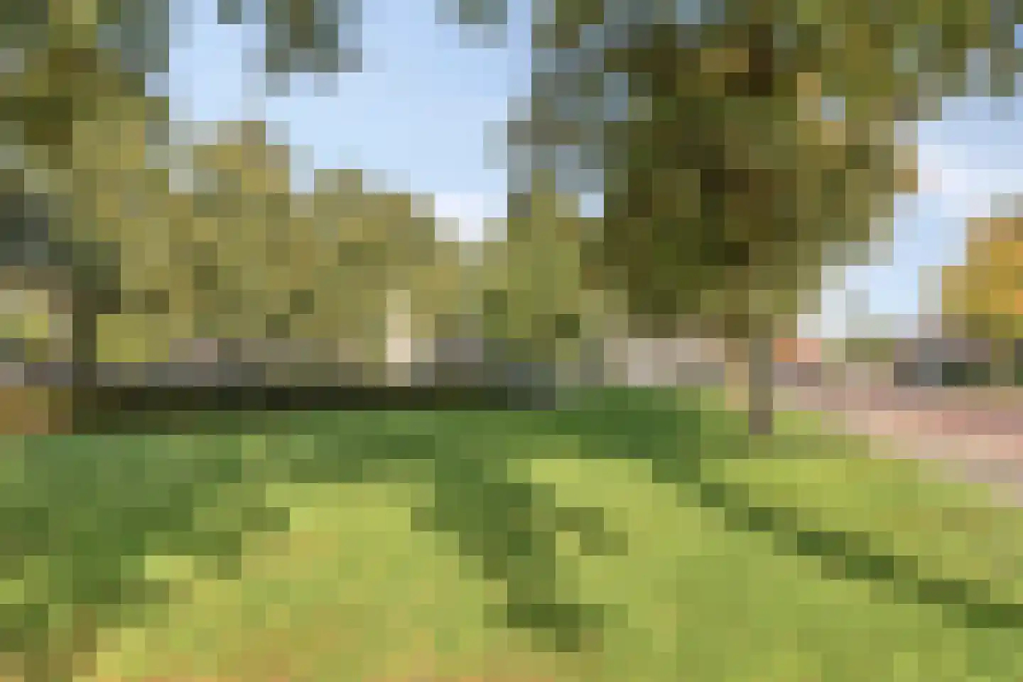 Berghemseweg 39 A Oss thumbnail 23