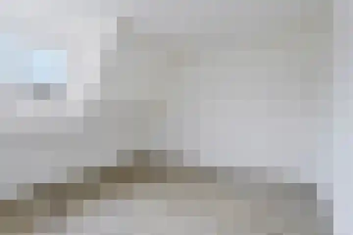 Berghemseweg 46 Oss thumbnail 18