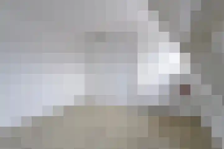 Berghemseweg 46 Oss thumbnail 19