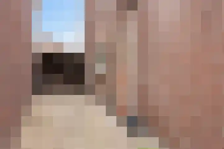 Berghemseweg 46 Oss thumbnail 29