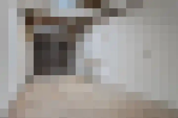 Berghemseweg 46 Oss thumbnail 31