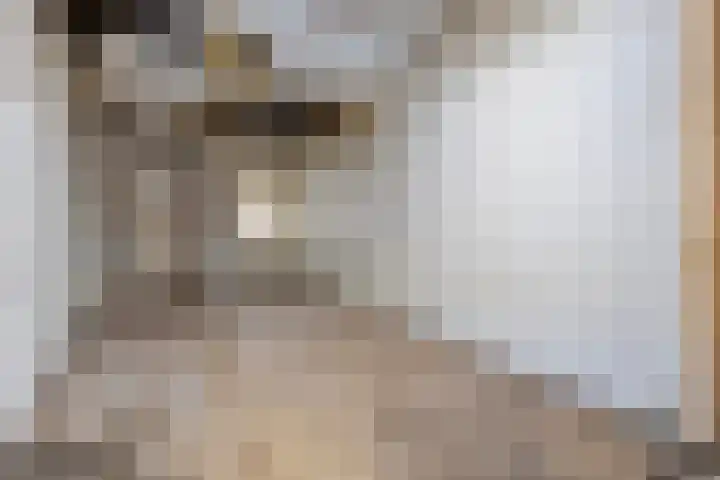 Berghemseweg 46 Oss thumbnail 32
