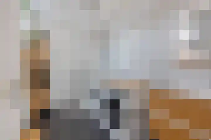 Berghemseweg 47 Oss thumbnail 16