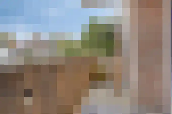 Berghemseweg 47 Oss thumbnail 20