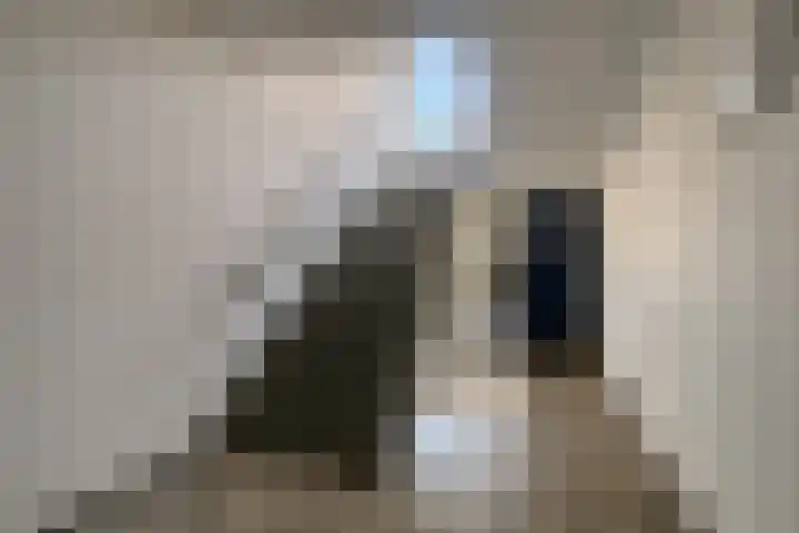 Berghemseweg 49 B Oss thumbnail 20