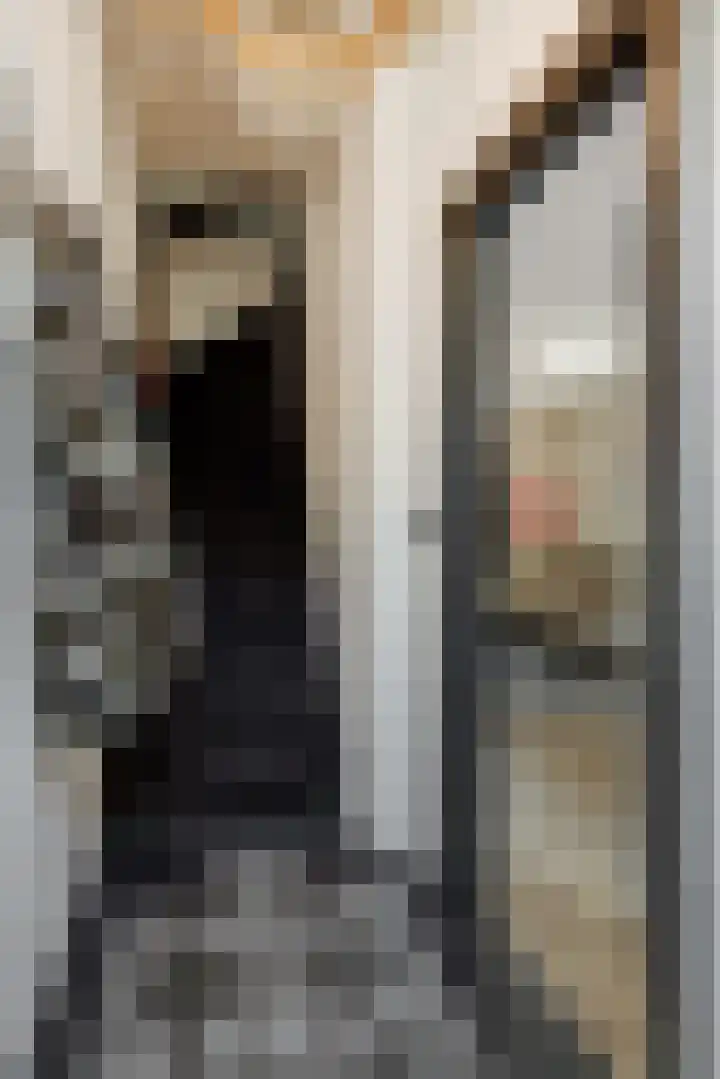 Berghemseweg 63 Oss thumbnail 19