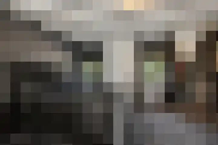 Berghemseweg 63 Oss thumbnail 20