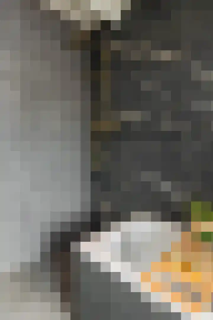Berghemseweg 63 Oss thumbnail 24
