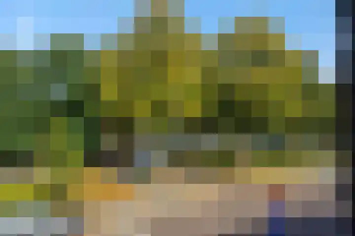Berghemseweg 63 Oss thumbnail 28