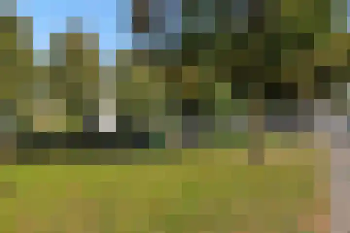 Berghemseweg 63 Oss thumbnail 30