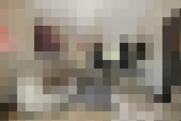 Berghemseweg 63 Oss thumbnail 8