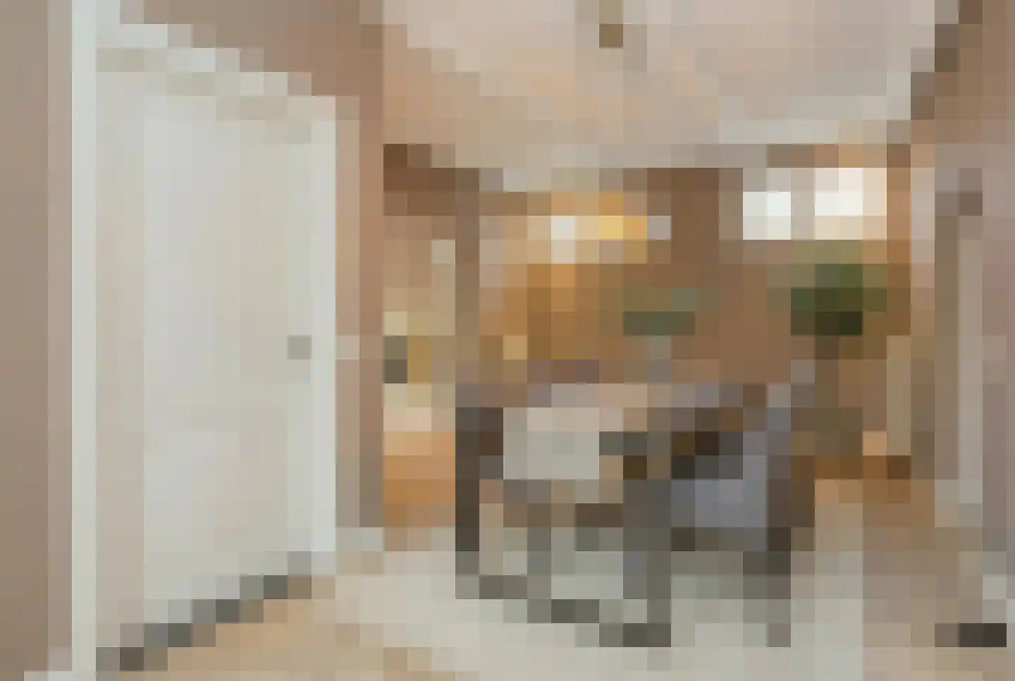 Berghemseweg 78 Oss thumbnail 10
