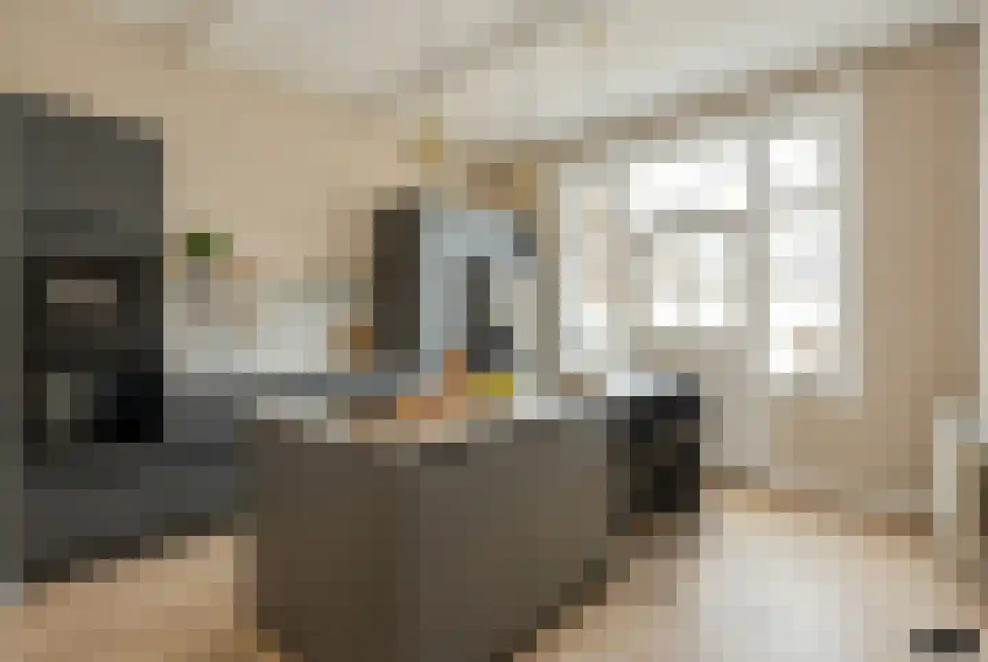 Berghemseweg 78 Oss thumbnail 18
