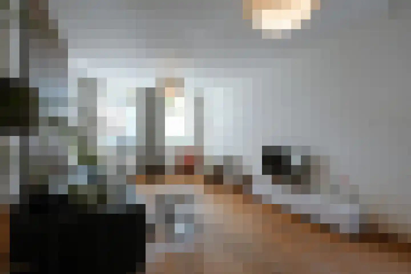 Berghemseweg 86 Oss thumbnail 11