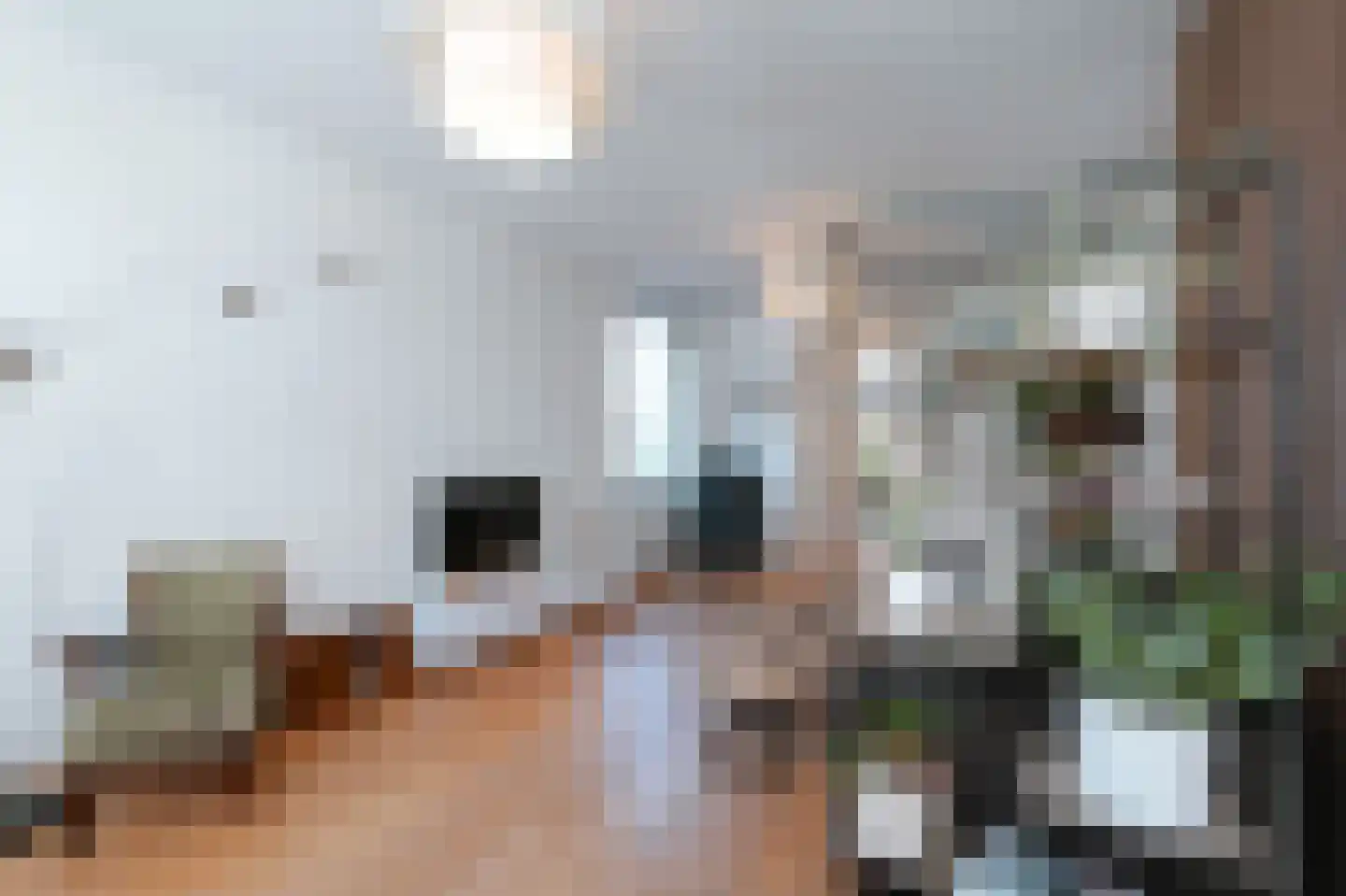 Berghemseweg 86 Oss thumbnail 12