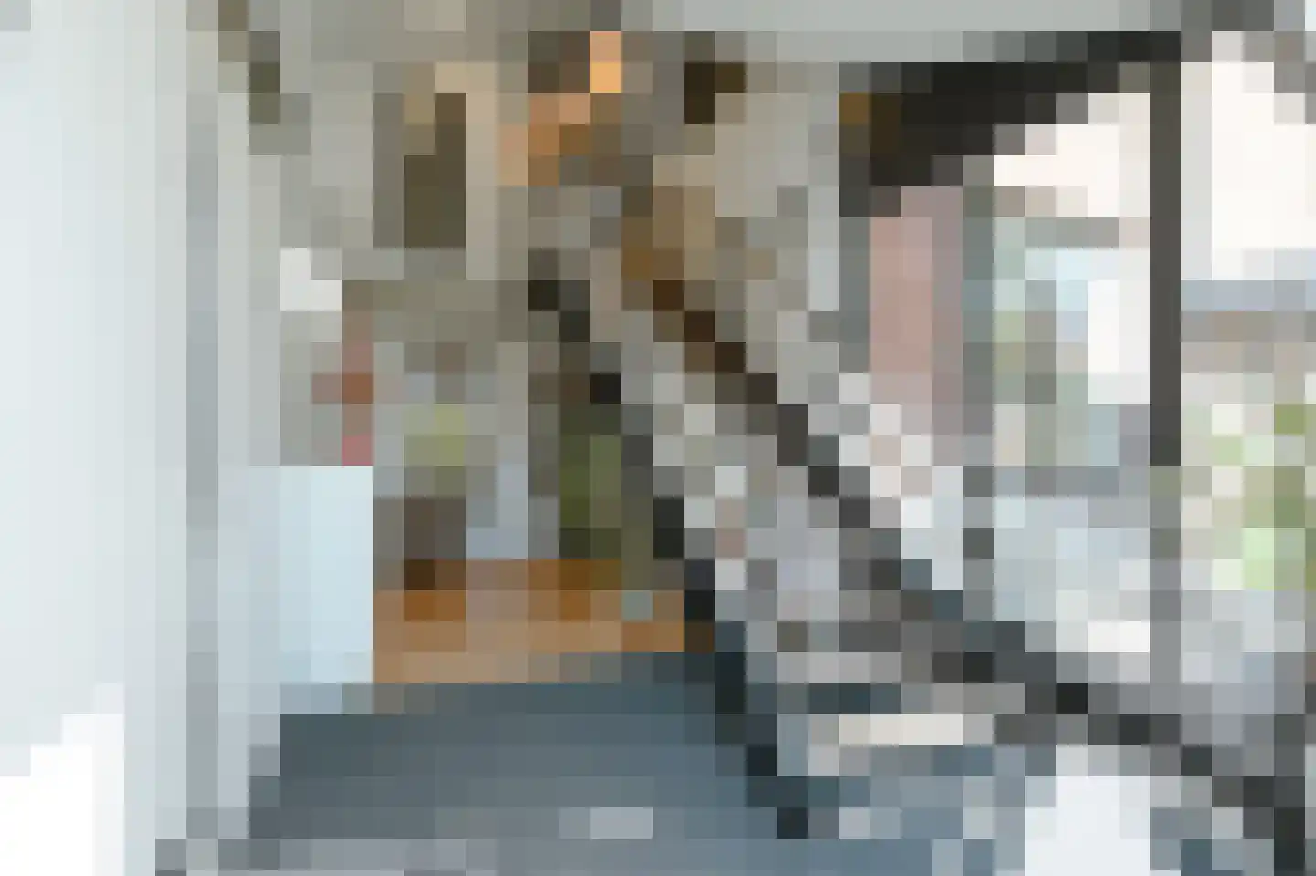 Berghemseweg 86 Oss thumbnail 33