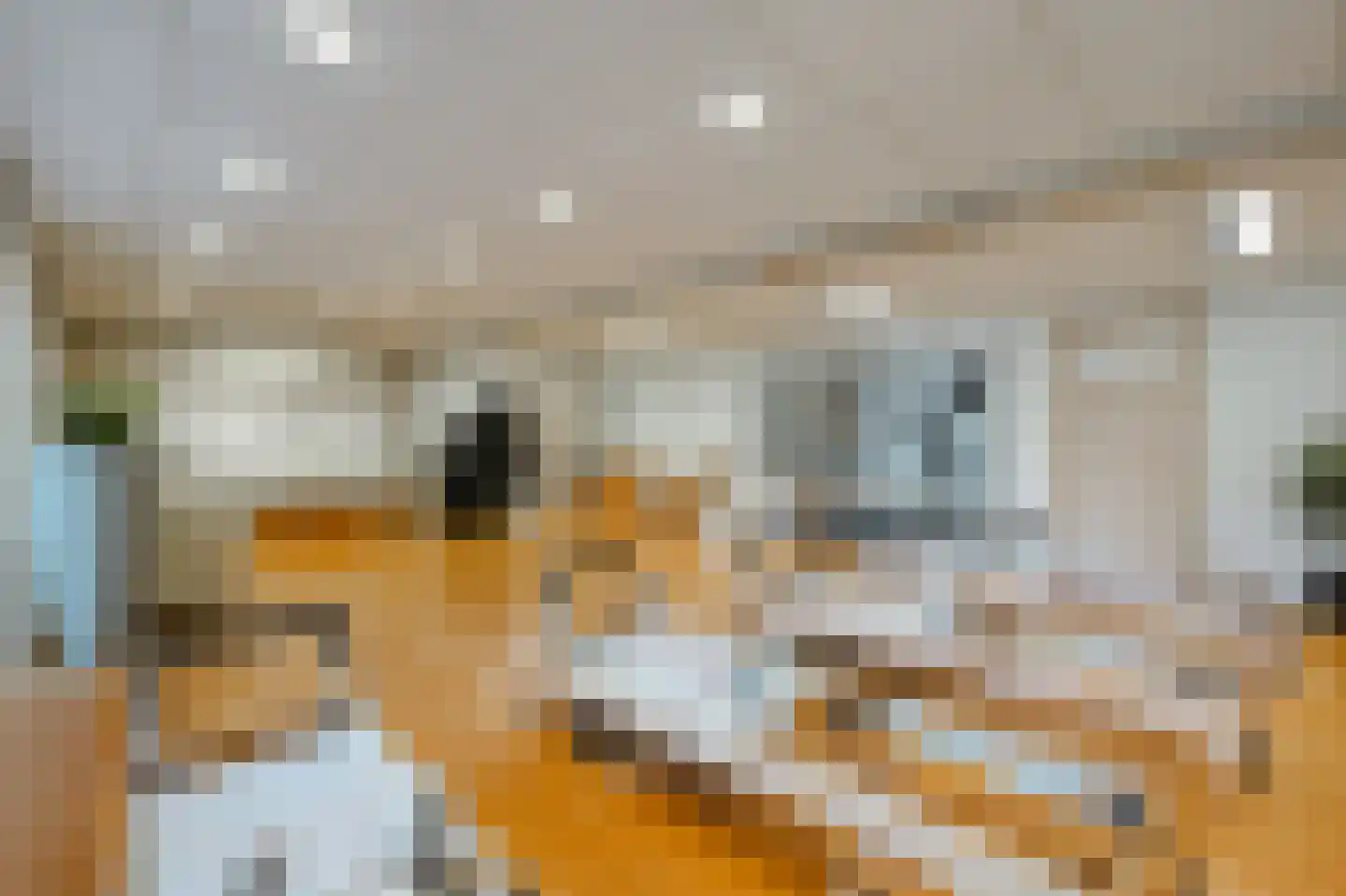 Berghemseweg 86 Oss thumbnail 37