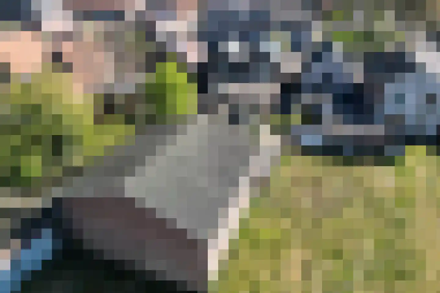Berghemseweg 86 Oss thumbnail 5