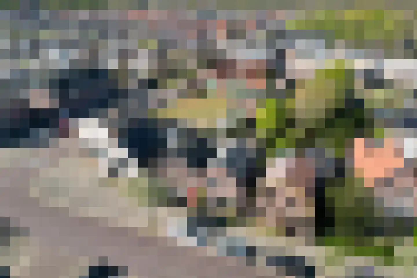Berghemseweg 86 Oss thumbnail 7