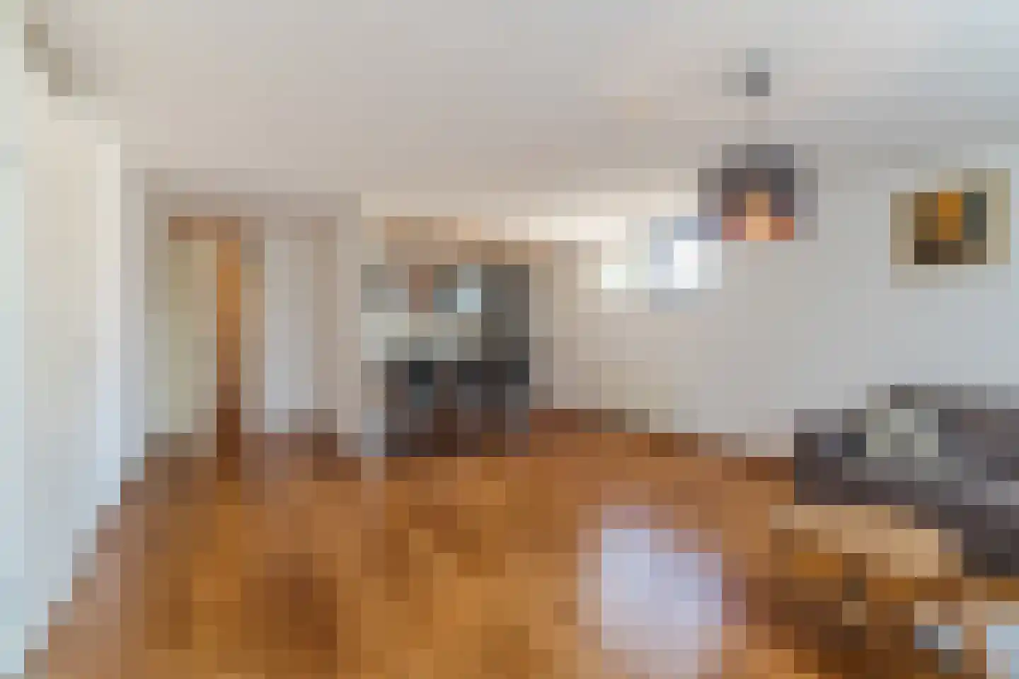 Berghemseweg 97 Oss thumbnail 4