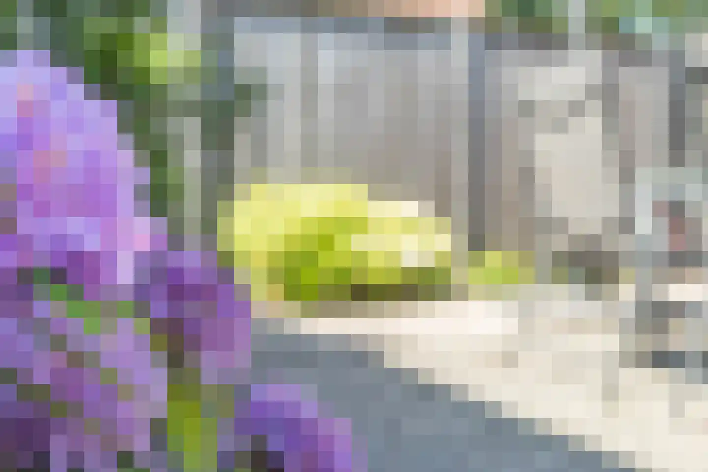 Berghoekstraat 21 Kruiningen thumbnail 37
