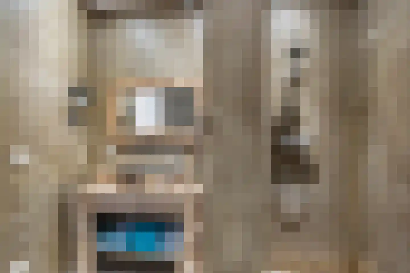 Berghoeve 13 Boekel thumbnail 20