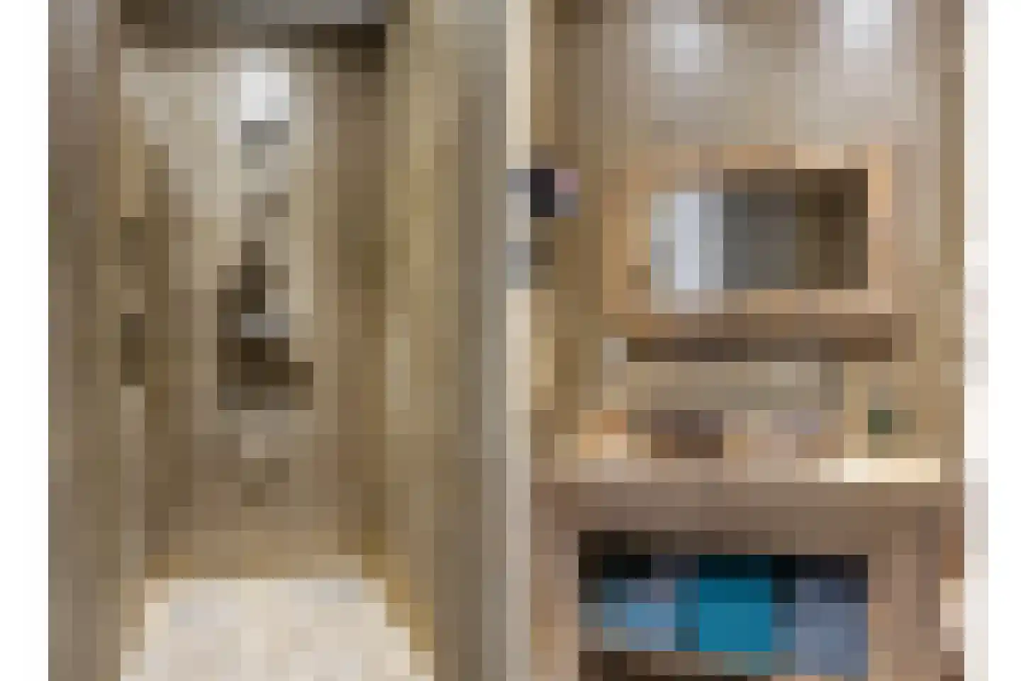 Berghoeve 13 Boekel thumbnail 21