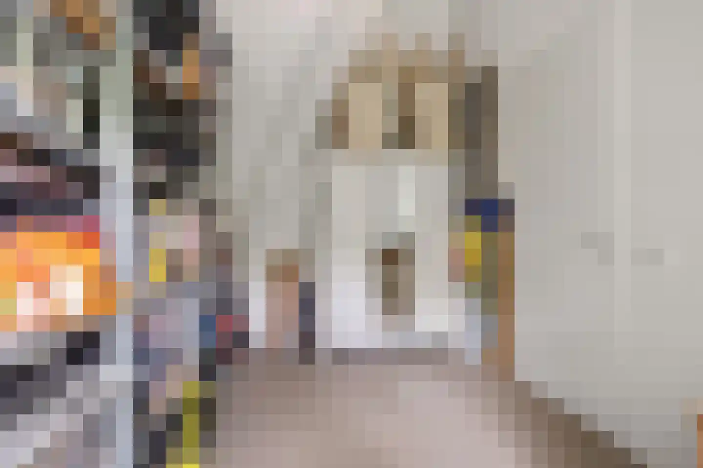 Berghoeve 13 Boekel thumbnail 26