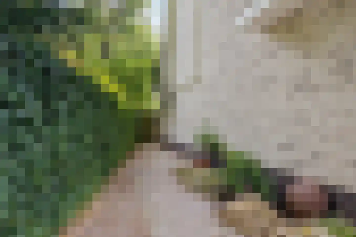 Berghoeve 13 Boekel thumbnail 34