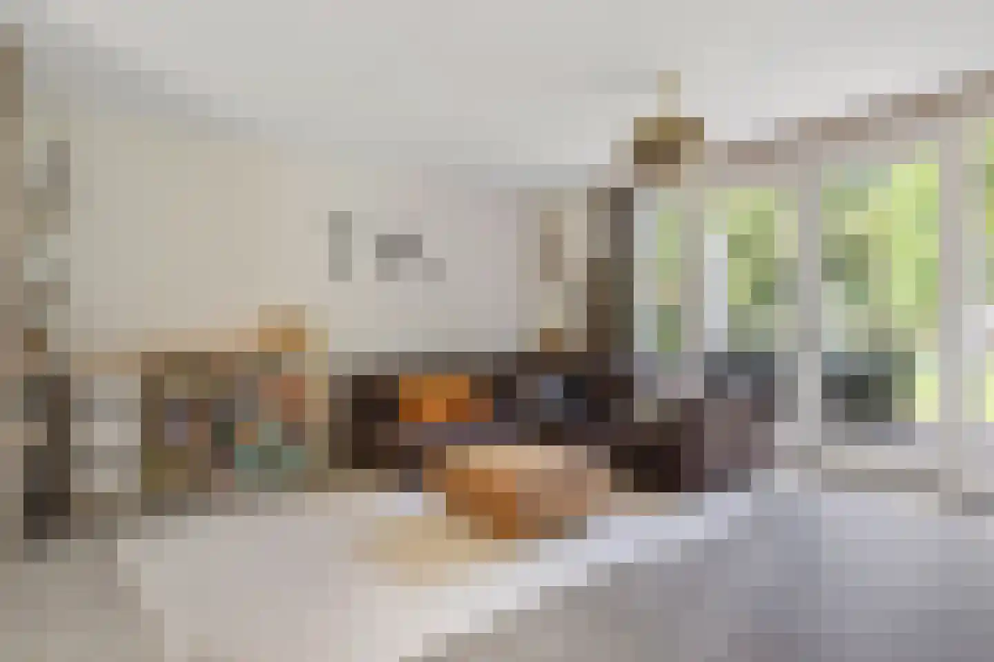 Berghoeve 13 Boekel thumbnail 4