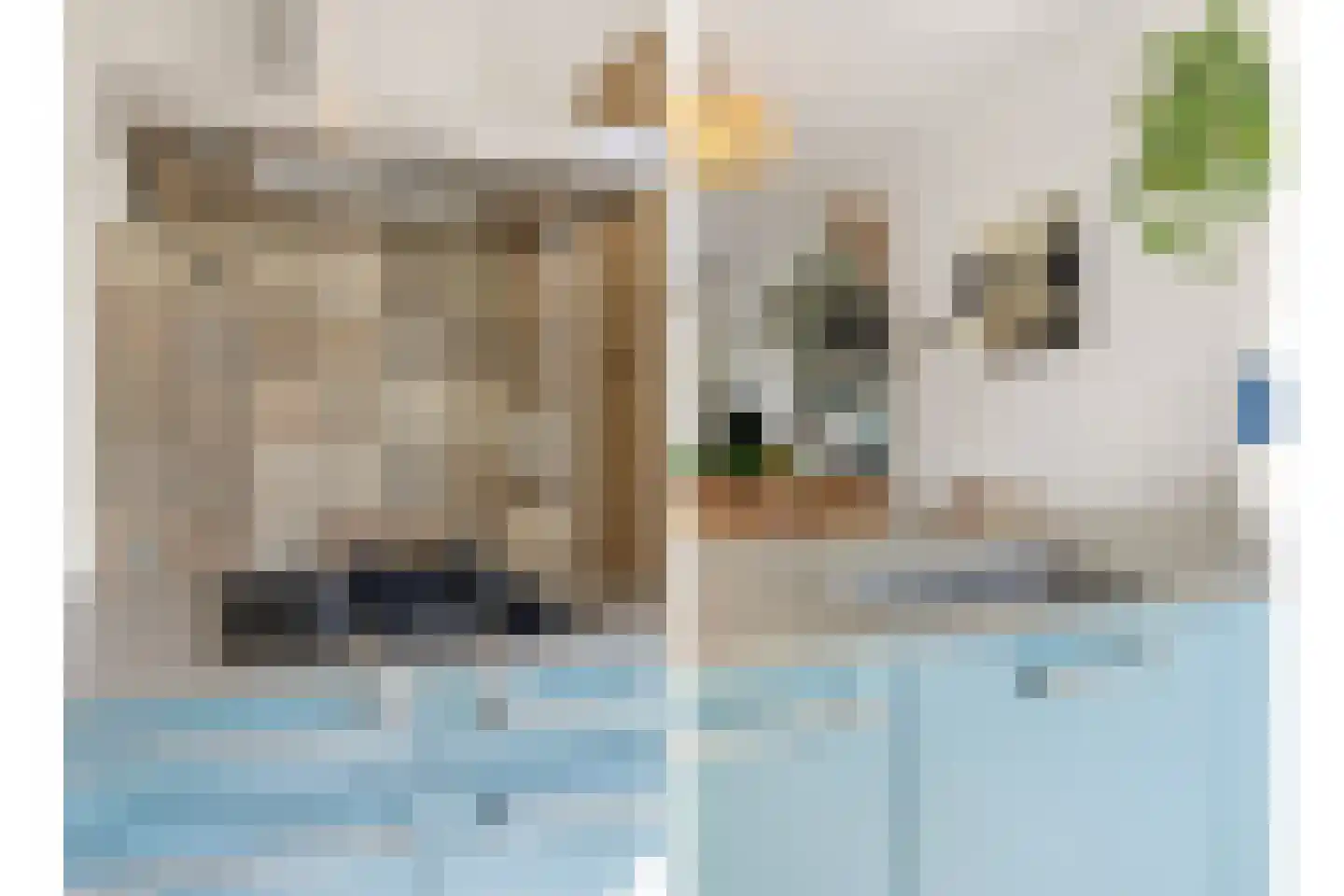 Berghoeve 13 Boekel thumbnail 9