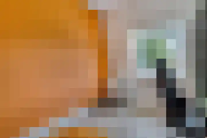 Berghoeve 16 Boekel thumbnail 17