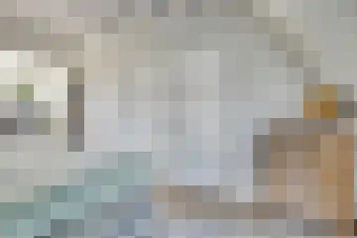 Berghoeve 16 Boekel thumbnail 23