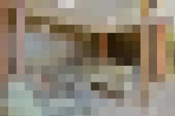 Berghoeve 16 Boekel thumbnail 29
