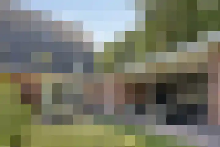 Berghoeve 16 Boekel thumbnail 5