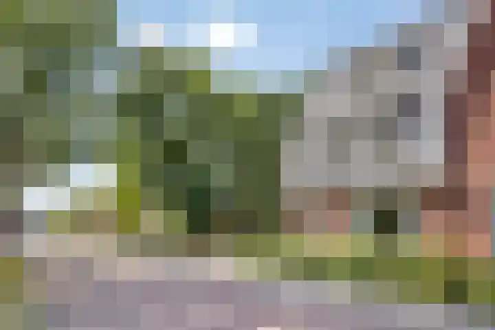 Berghoeve 16 Boekel thumbnail 8