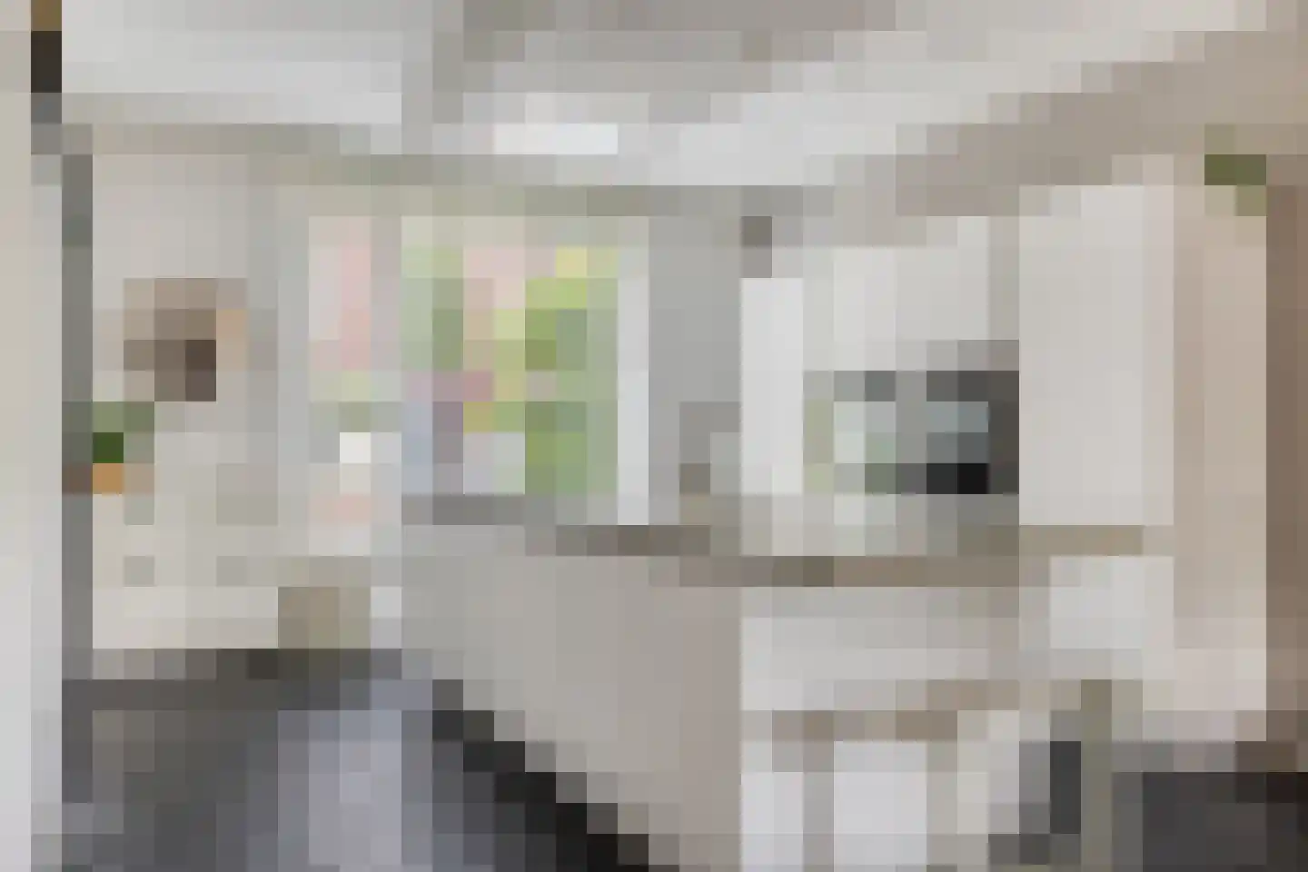 Berghoeve 2 Boekel thumbnail 11