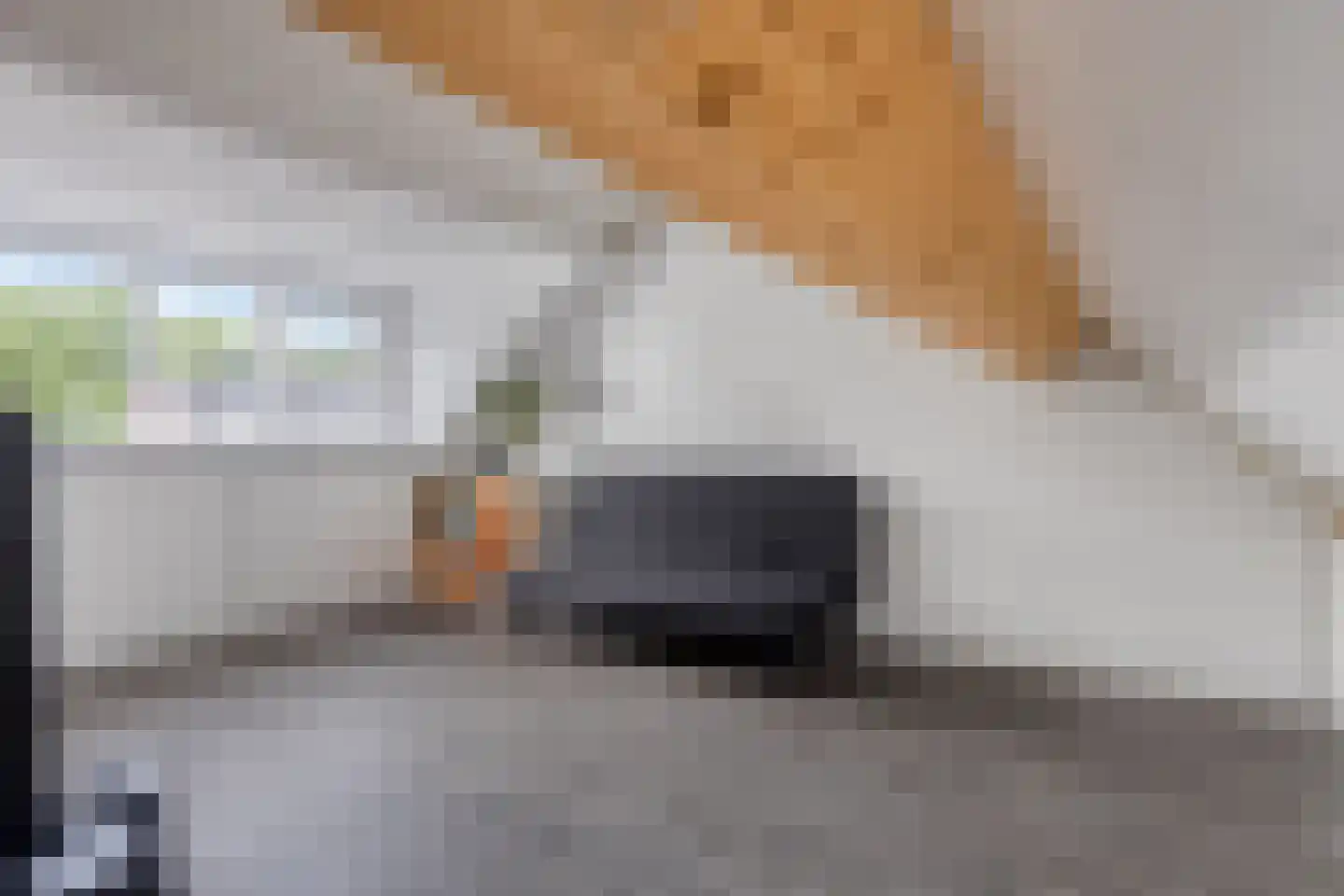 Berghoeve 2 Boekel thumbnail 33