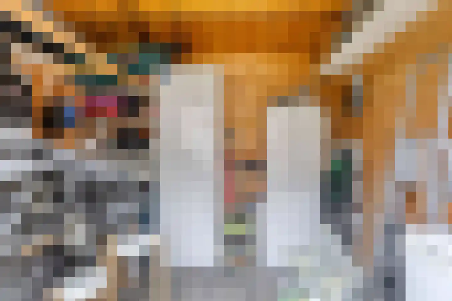 Berghoeve 2 Boekel thumbnail 39