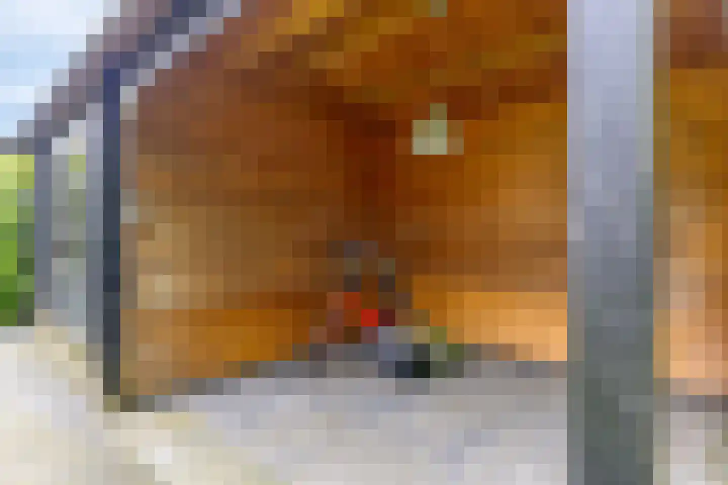 Berghoeve 2 Boekel thumbnail 41