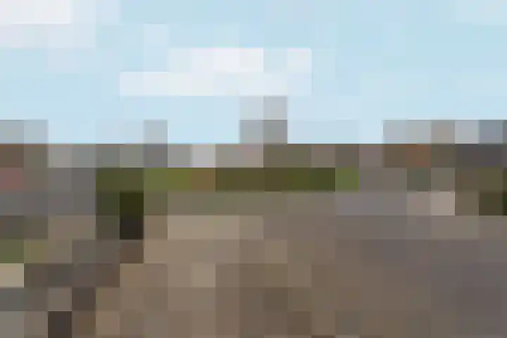 Berghof 12 Westervoort thumbnail 59