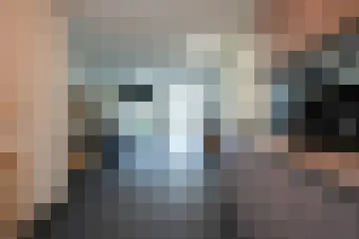 Berghofstraat 19 Eygelshoven thumbnail 8