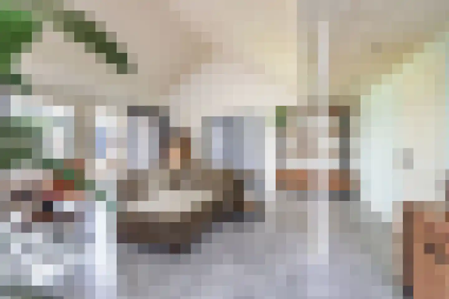 Berghseweg 33 Varsselder thumbnail 20