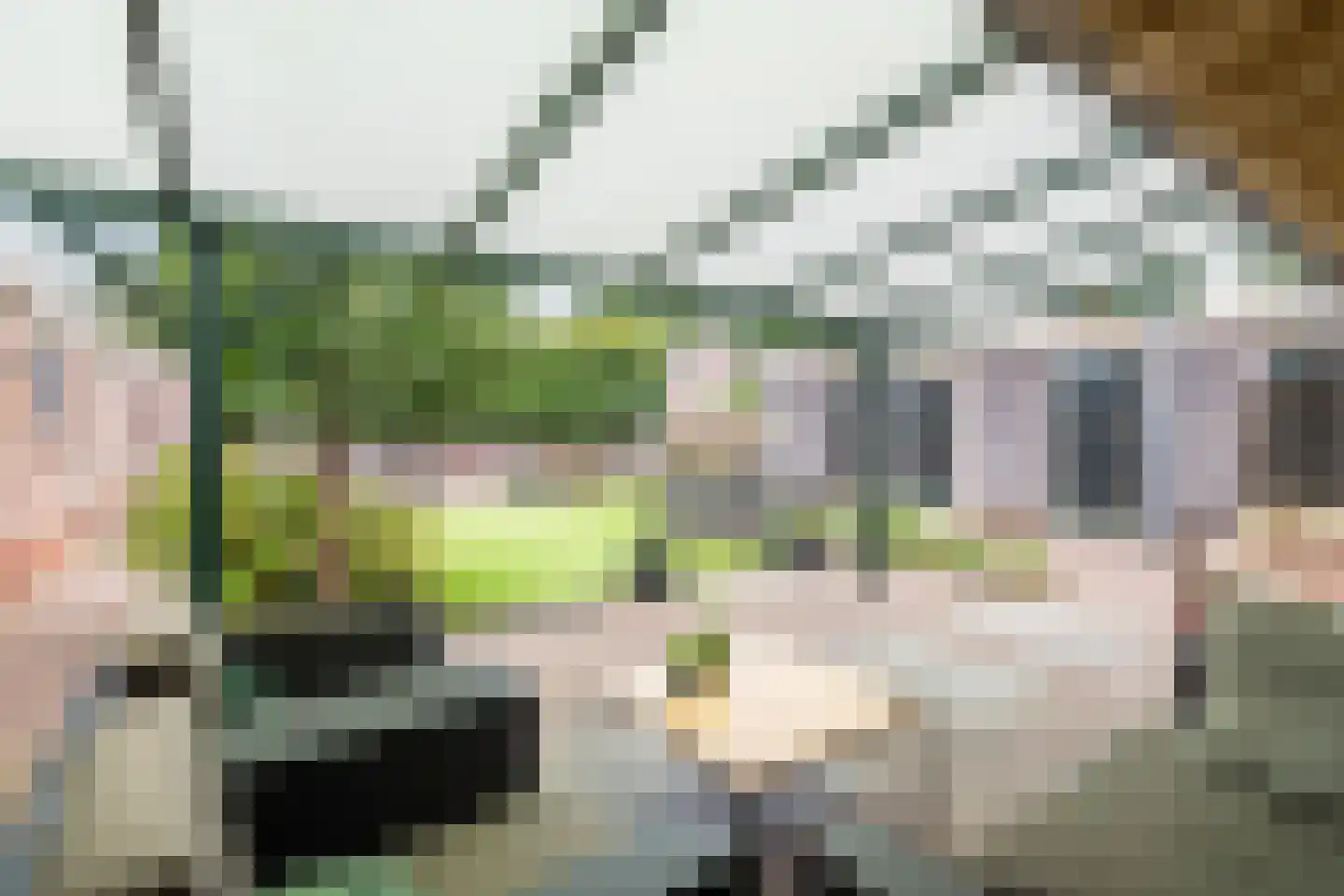 Berghseweg 33 Varsselder thumbnail 43